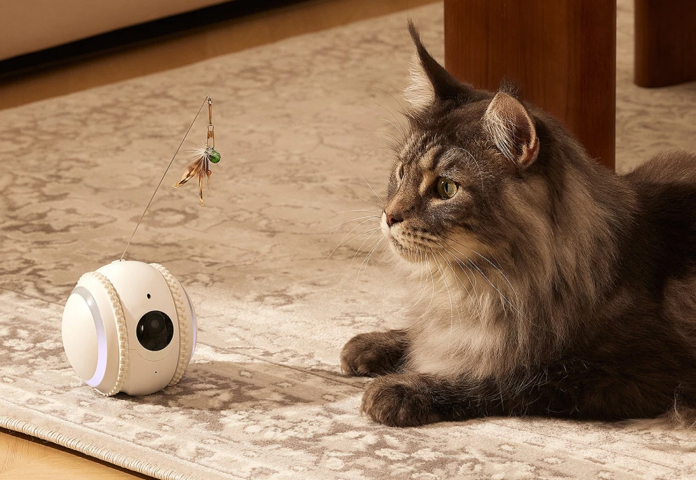 best in home cameras for pets