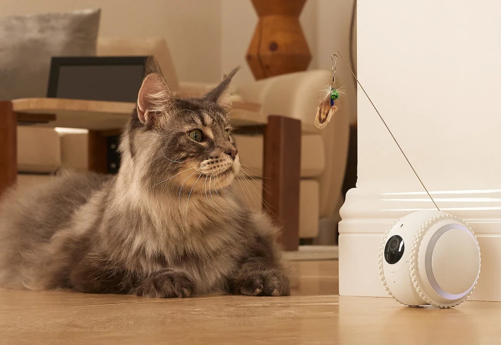 video camera for pets