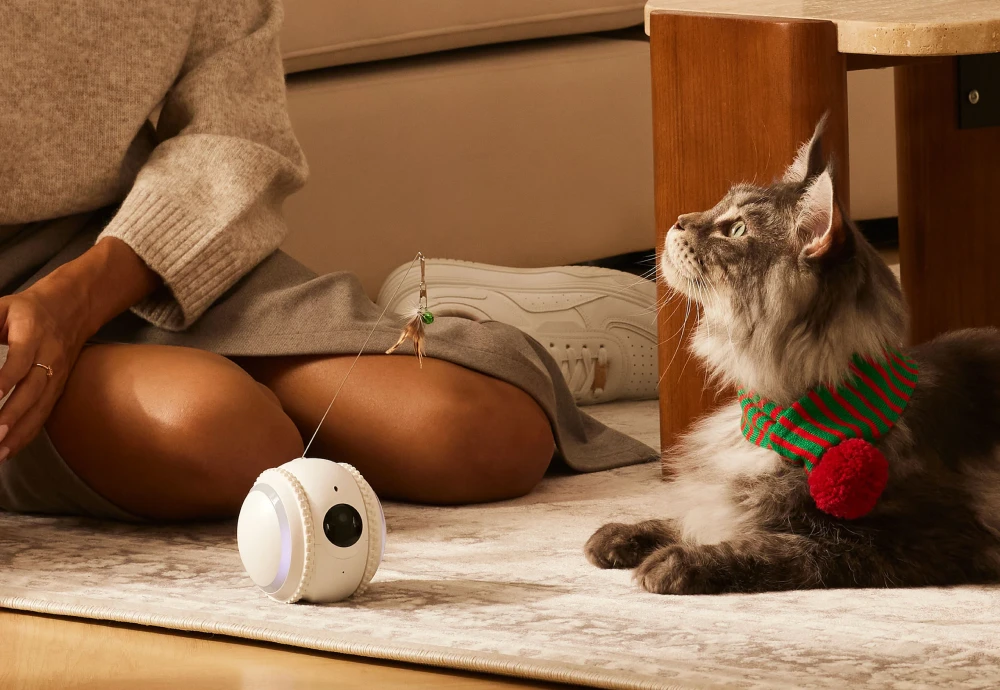 best in home cameras for pets