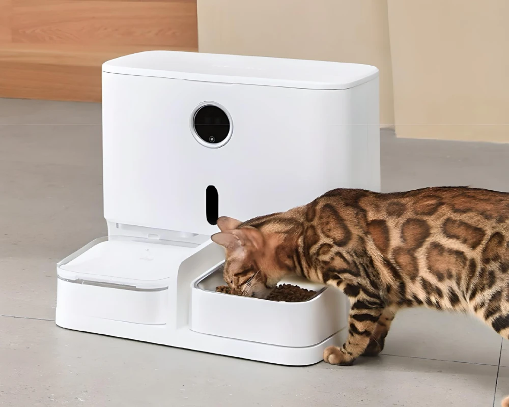 automatic pet feeder and waterer