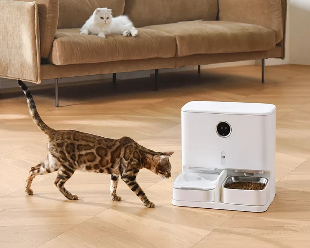 cat automatic pet feeder